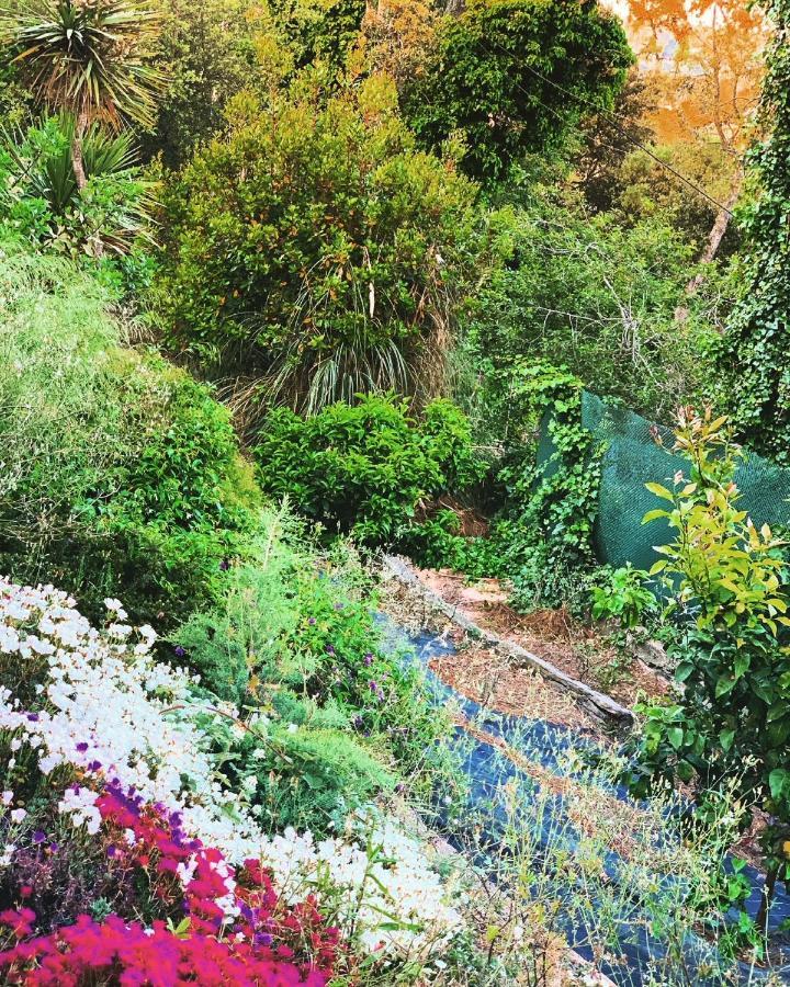 Villa Mas Blau Lloret de Mar Zewnętrze zdjęcie
